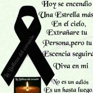 Meet your Posher, Luciernaga